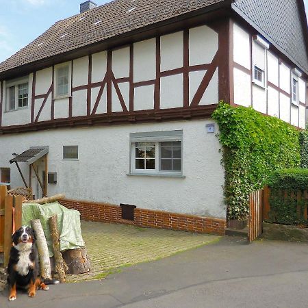 Small Apartment In Hesse With Terrace And Garden Frielendorf Exteriör bild